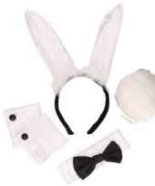 Bunny playboy kostuumje