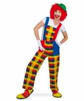 Clown pebbi kostuum tuinbroek