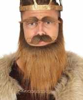 Koning baard kostuum snor wenkbrauwen bruin